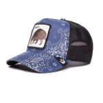 Baseball Cap All Mo Money D-Paisley Armadillo