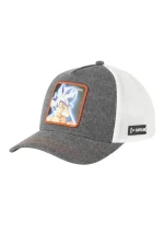 Goku Snapback