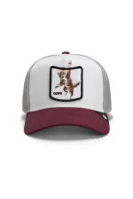 Baseball Cap Migration - Oops Cat - Maroon - Image 2